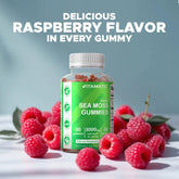Irish Sea Moss Gummies - 3000 Mg - 60 Vegan Gummies - Made with Bladderwrack & Burdock Root - Seamoss Supplement for Thyroid, Energy, Immune Support