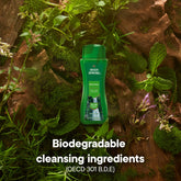 (3 Pack)  Original Moisturizing Body Wash for Men, 24-Hour Fresh, Face and Body Wash, Men’S Body Wash, Biodegradable Ingredients, Paraben Free, Cool Fresh Scent, 3.4 Fl Oz Bottle