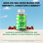 Irish Sea Moss Gummies - 3000 Mg - 60 Vegan Gummies - Made with Bladderwrack & Burdock Root - Seamoss Supplement for Thyroid, Energy, Immune Support